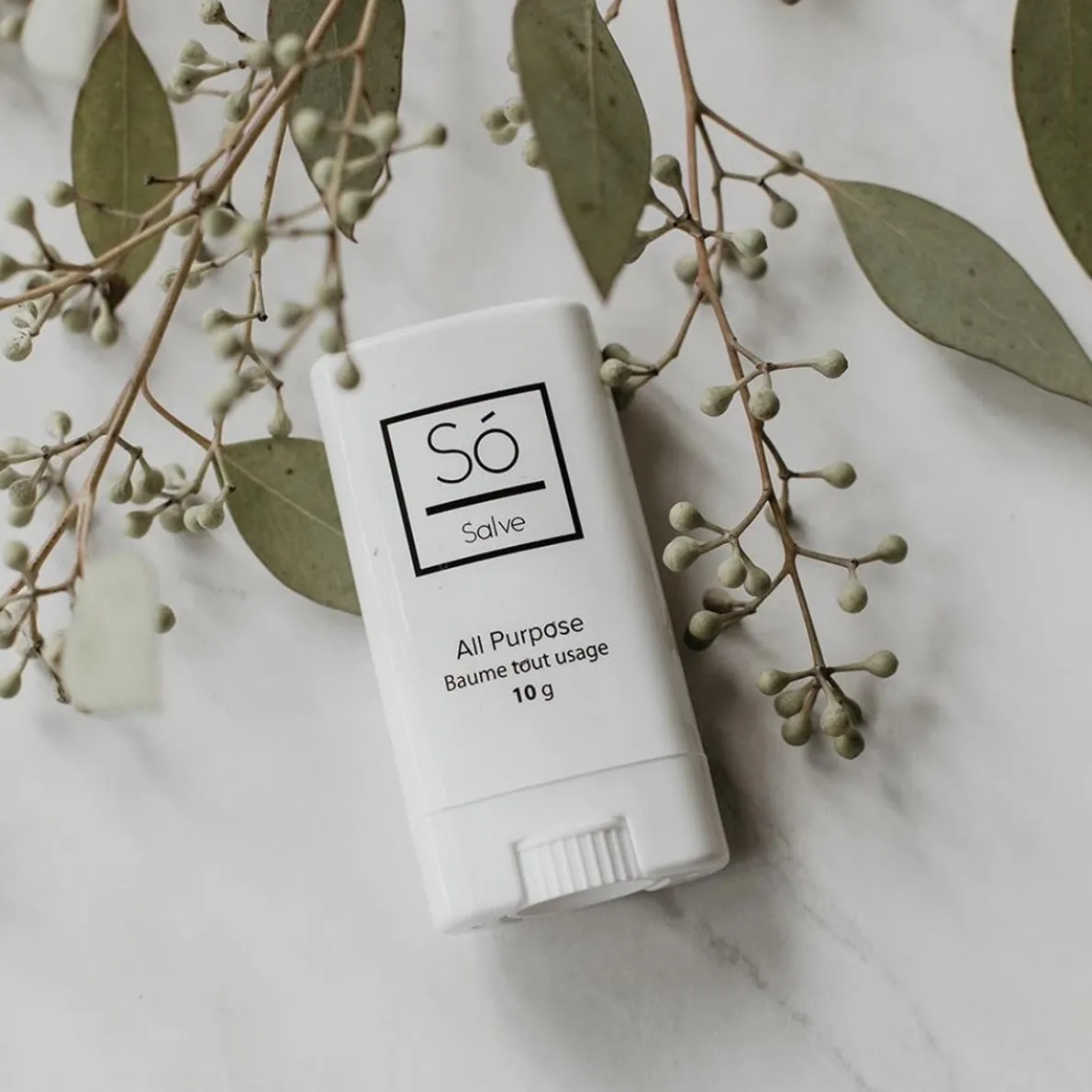 All Purpose Salve (10 g)