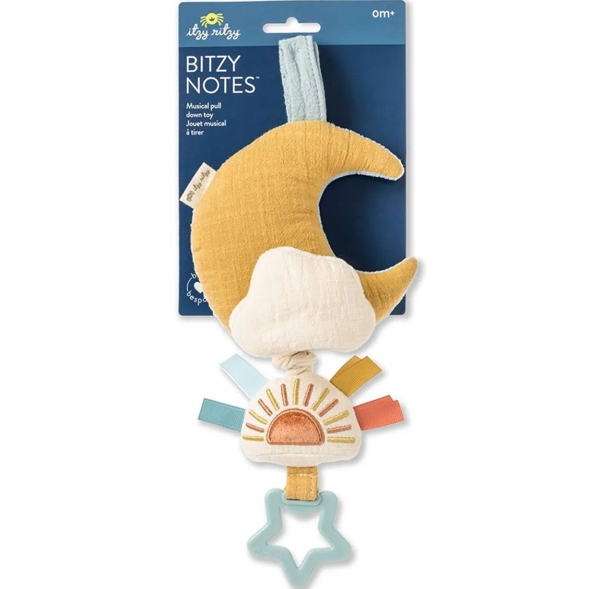 Bitzy Notes Musical Pull-Down Toy