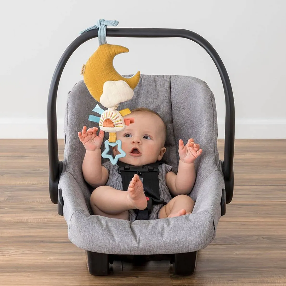 Bitzy Notes Musical Pull-Down Toy