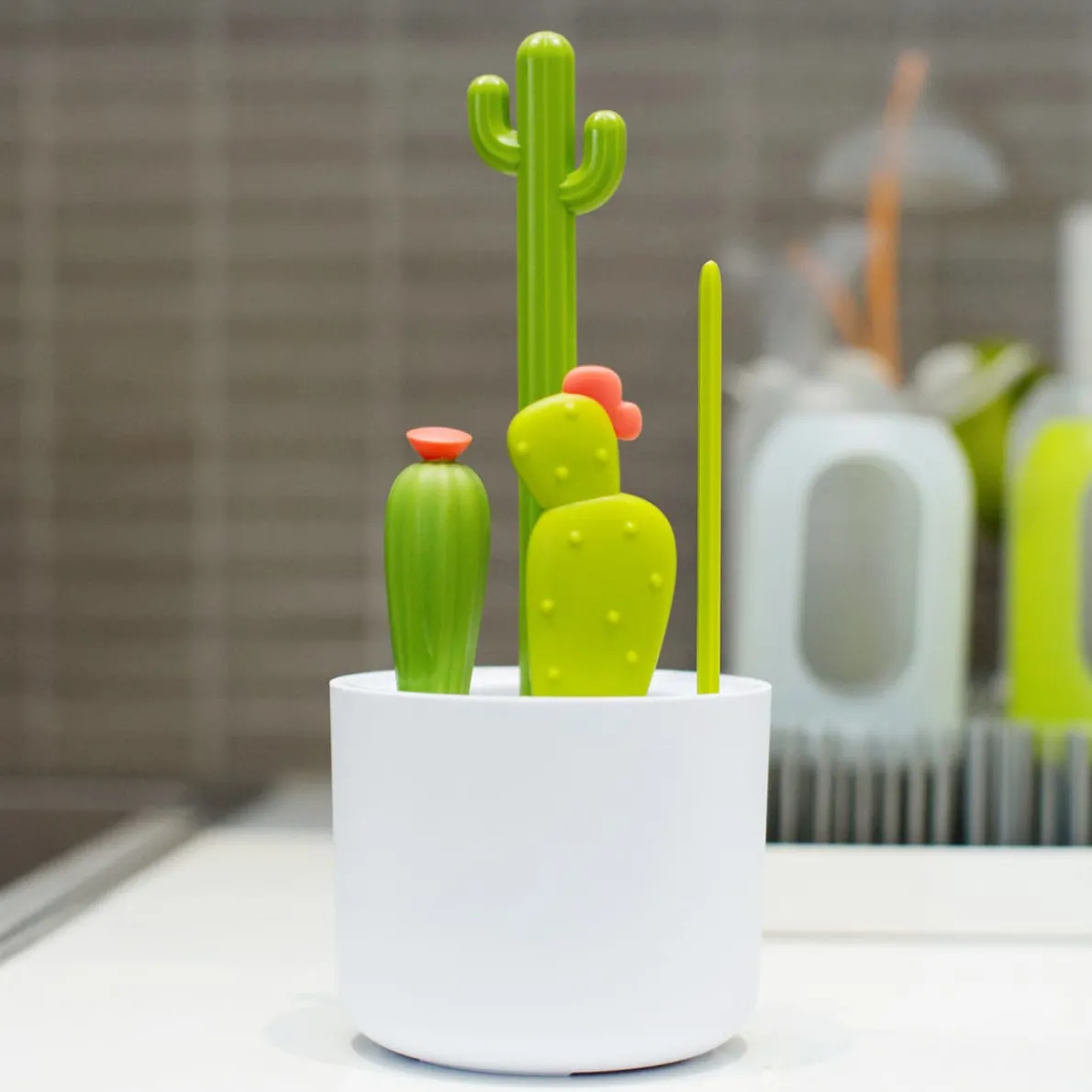 Cacti Brush Set