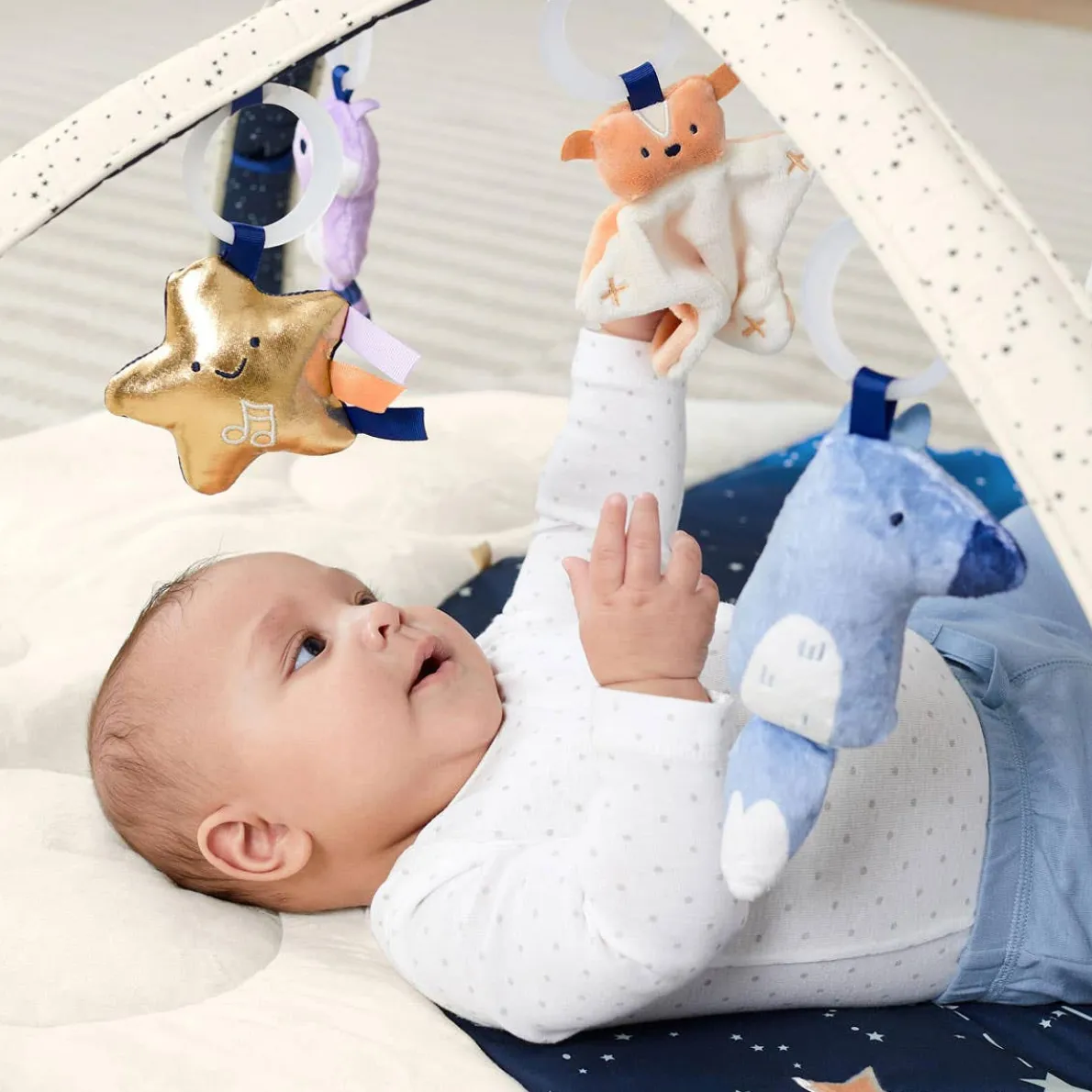 Celestial Dreams Activity Gym