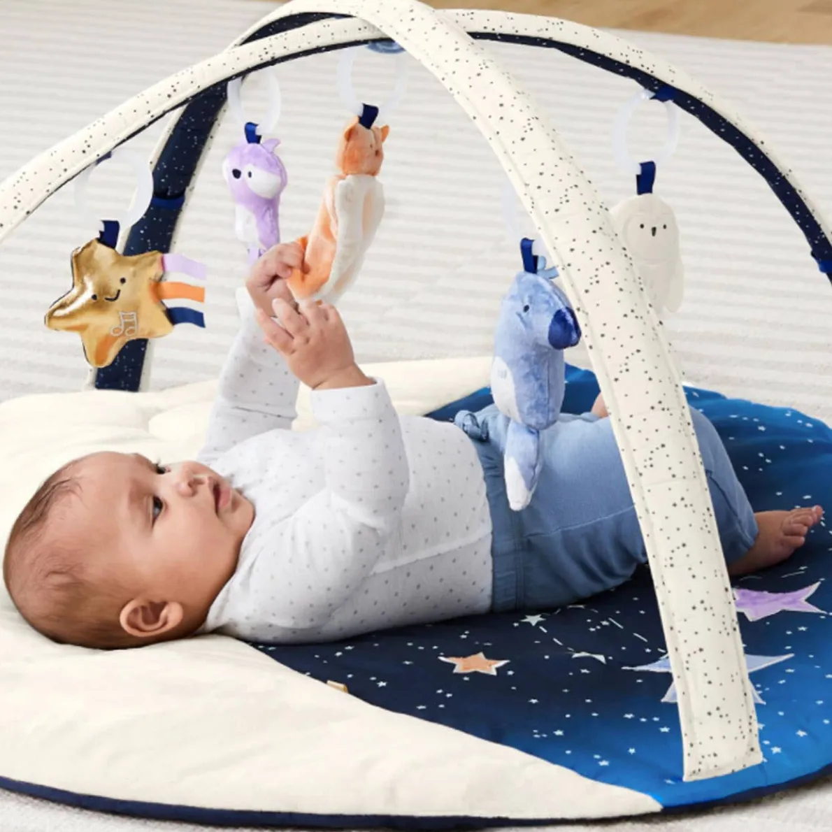 Celestial Dreams Activity Gym