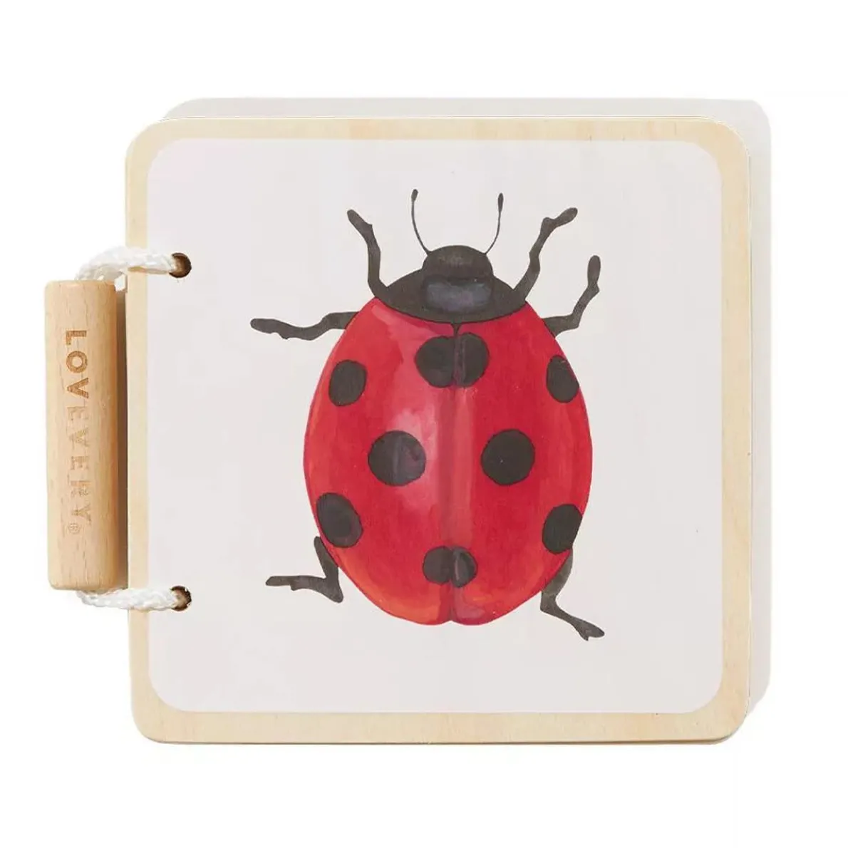 Colorful Animals Wooden Book