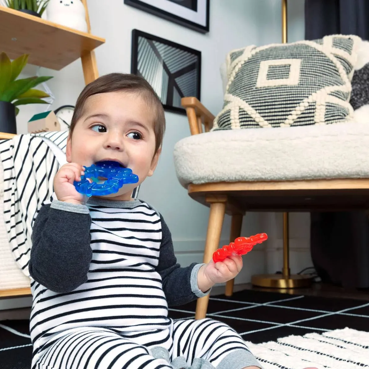 Cool Critters Teether Toy Set