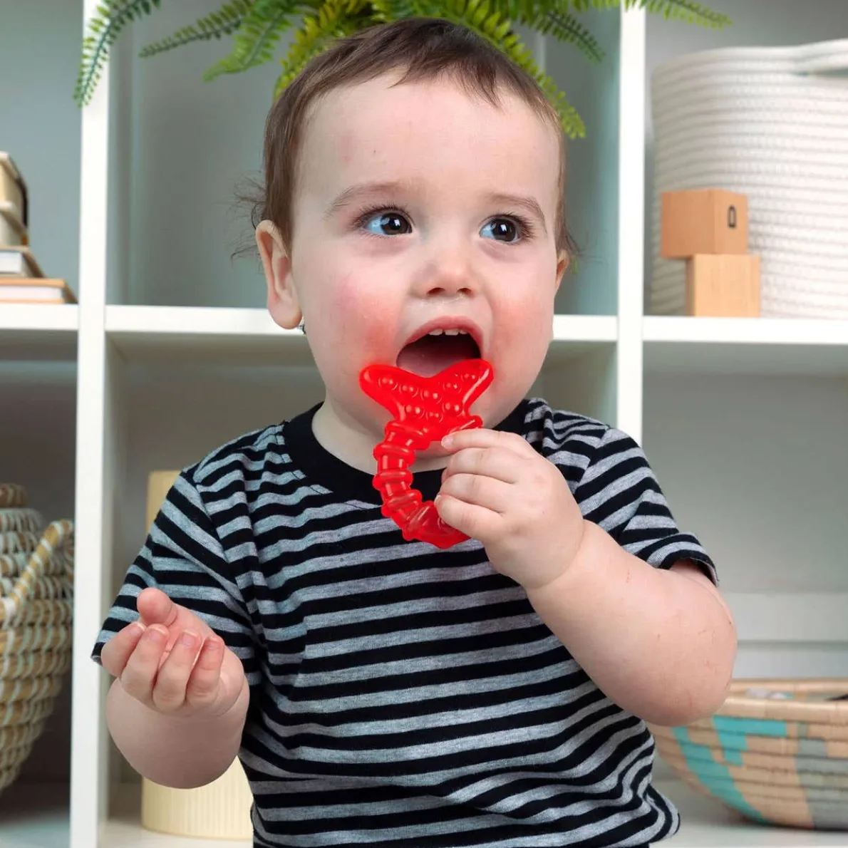 Cool Critters Teether Toy Set