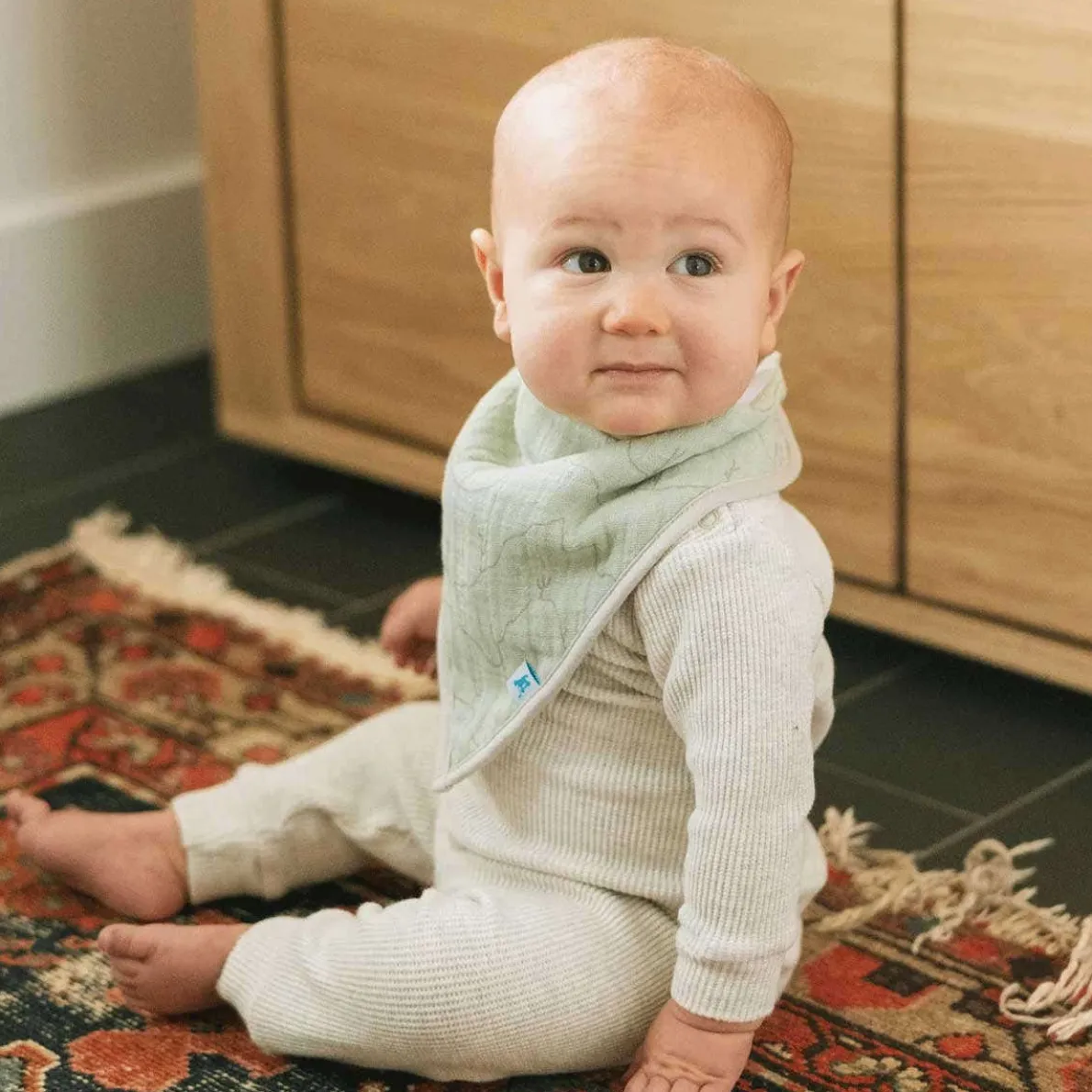 Cotton Muslin Bandana Bib (4 Pack)