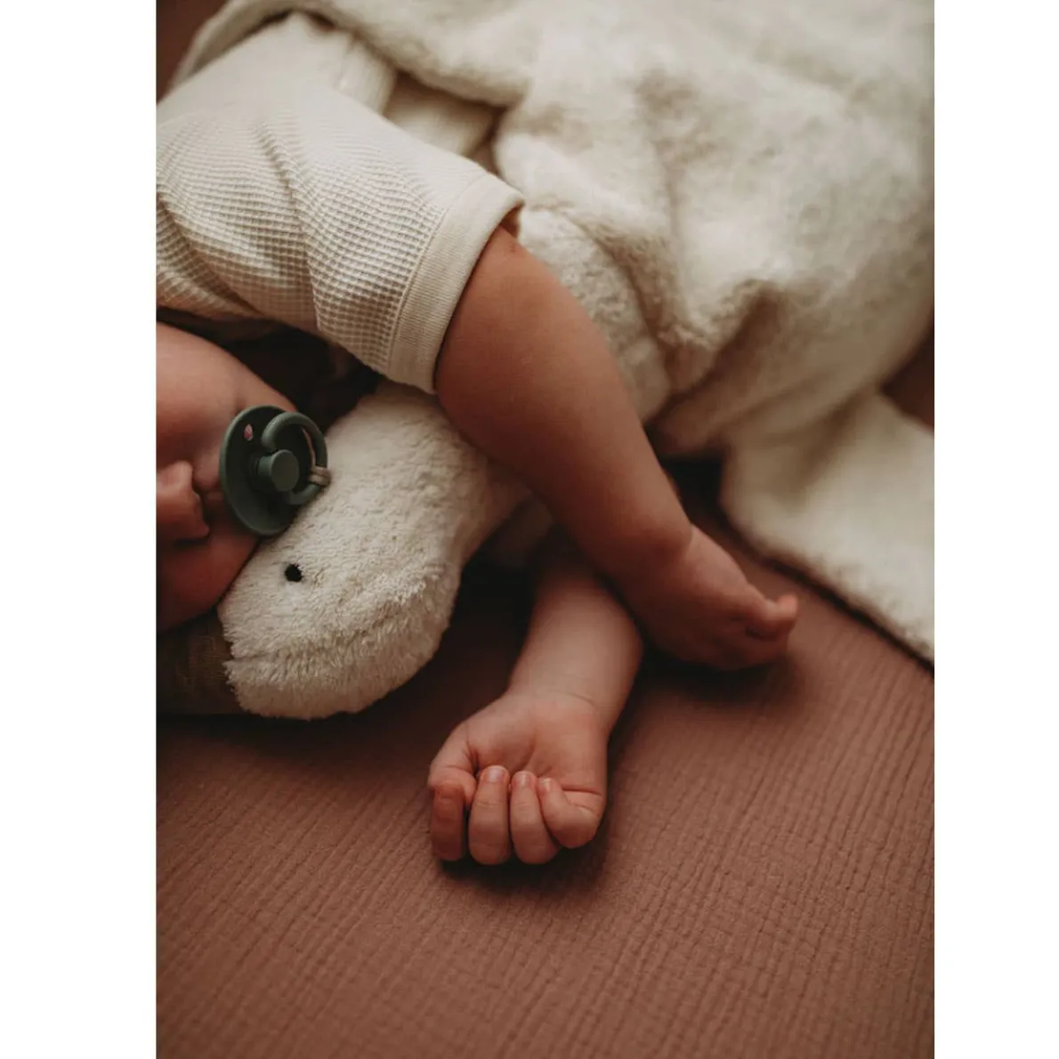 Cuddly Animals (Large)