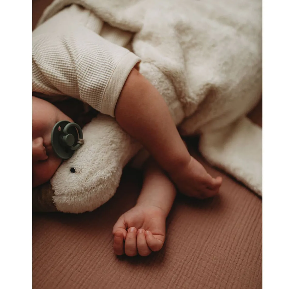 Cuddly Animals (Small)