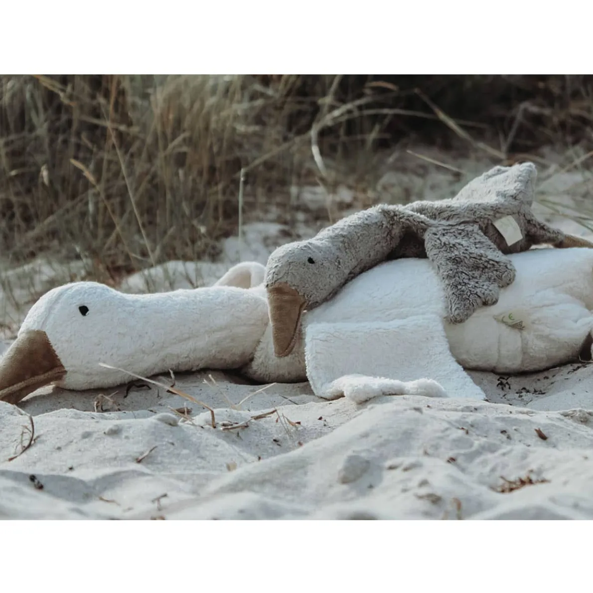 Cuddly Animals (Small)