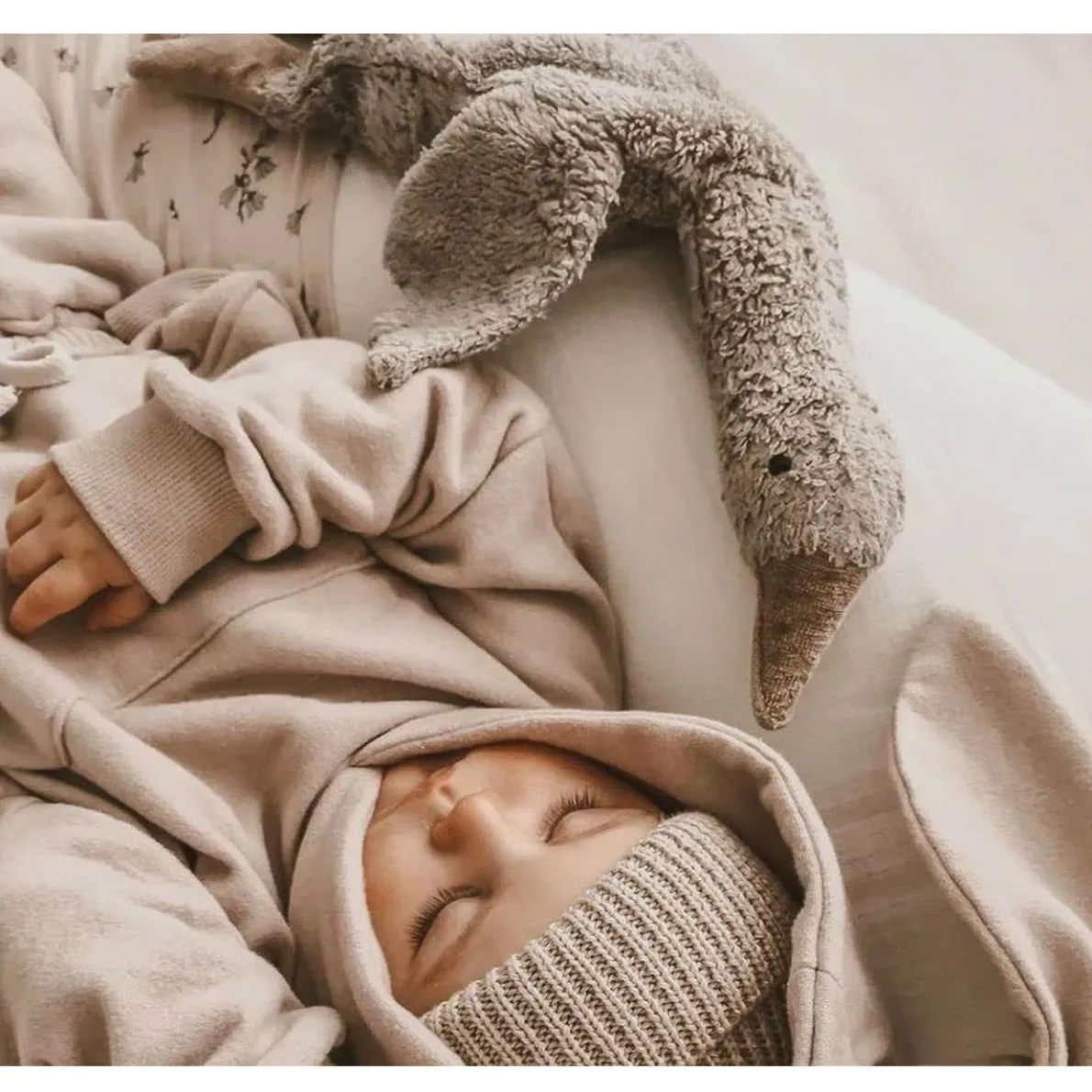 Cuddly Animals (Small)