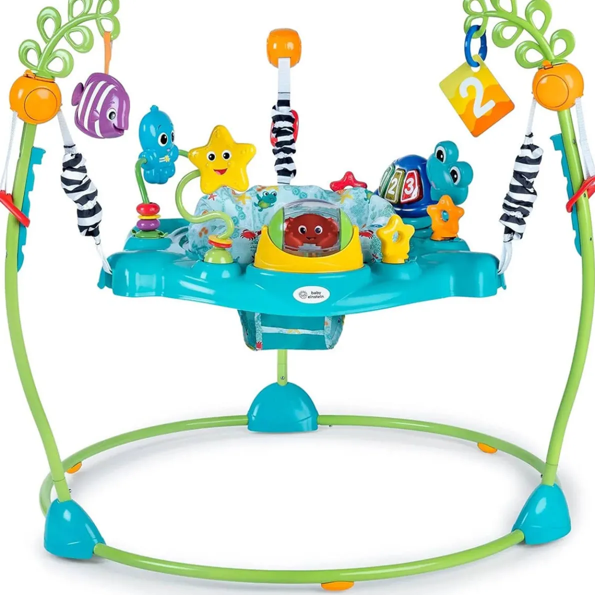 Curiosity Cove Activity Jumper