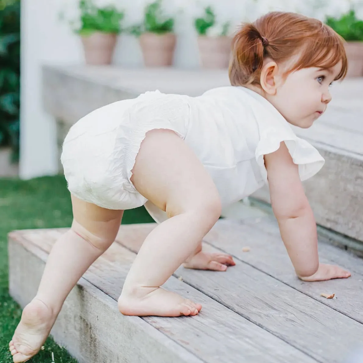 Diapers Size 4 (Toddler)