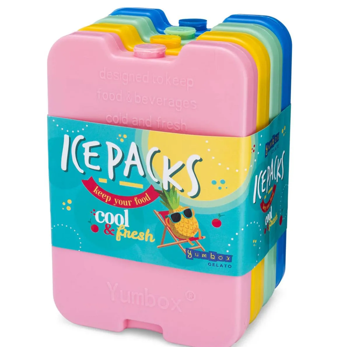 Ice Pack (Set of 4)