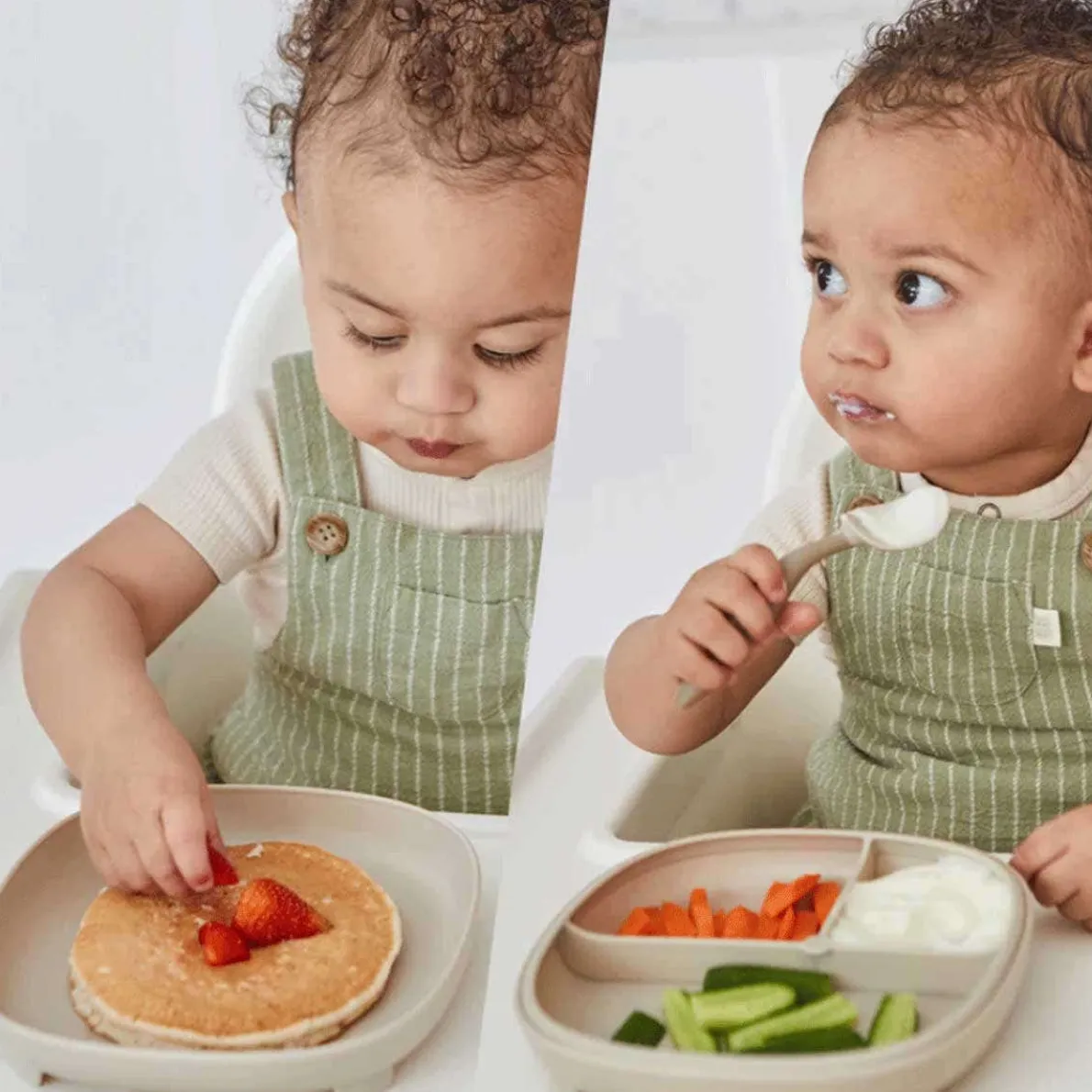 2-in-1 Suction Plate