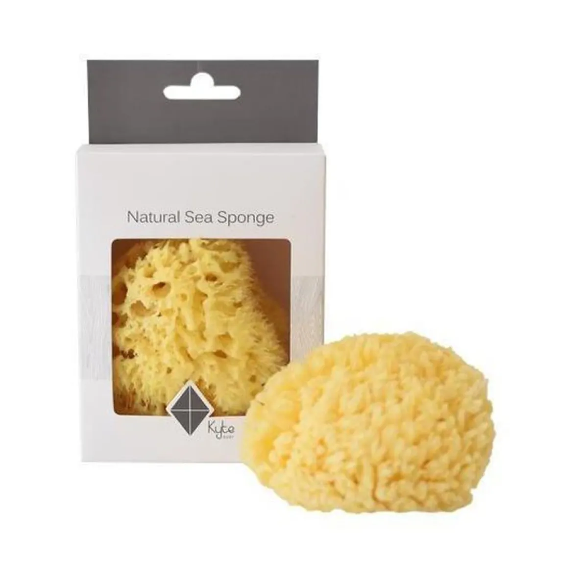 Natural Sea Sponge