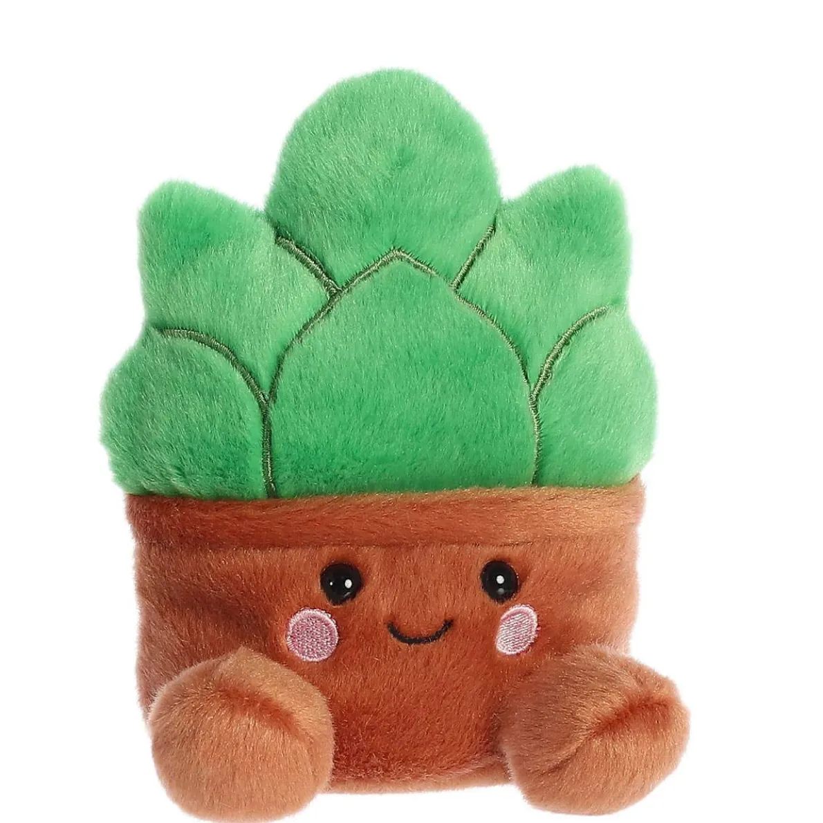 Palm Pals - Gigi Succulent