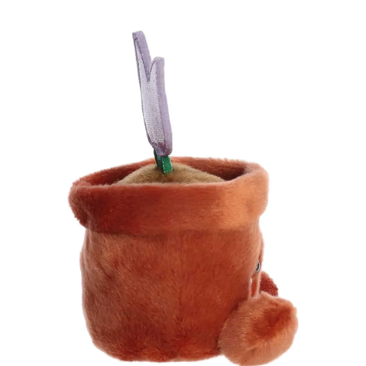 Palm Pals - Holland Potted Tulip