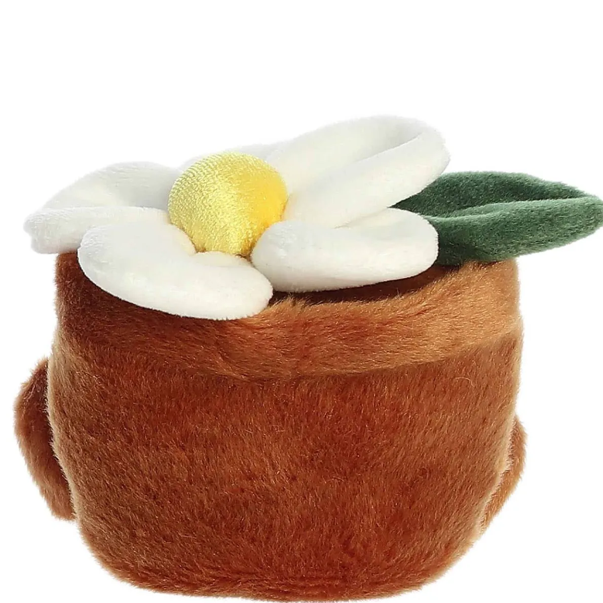 Palm Pals - Junie Daisy