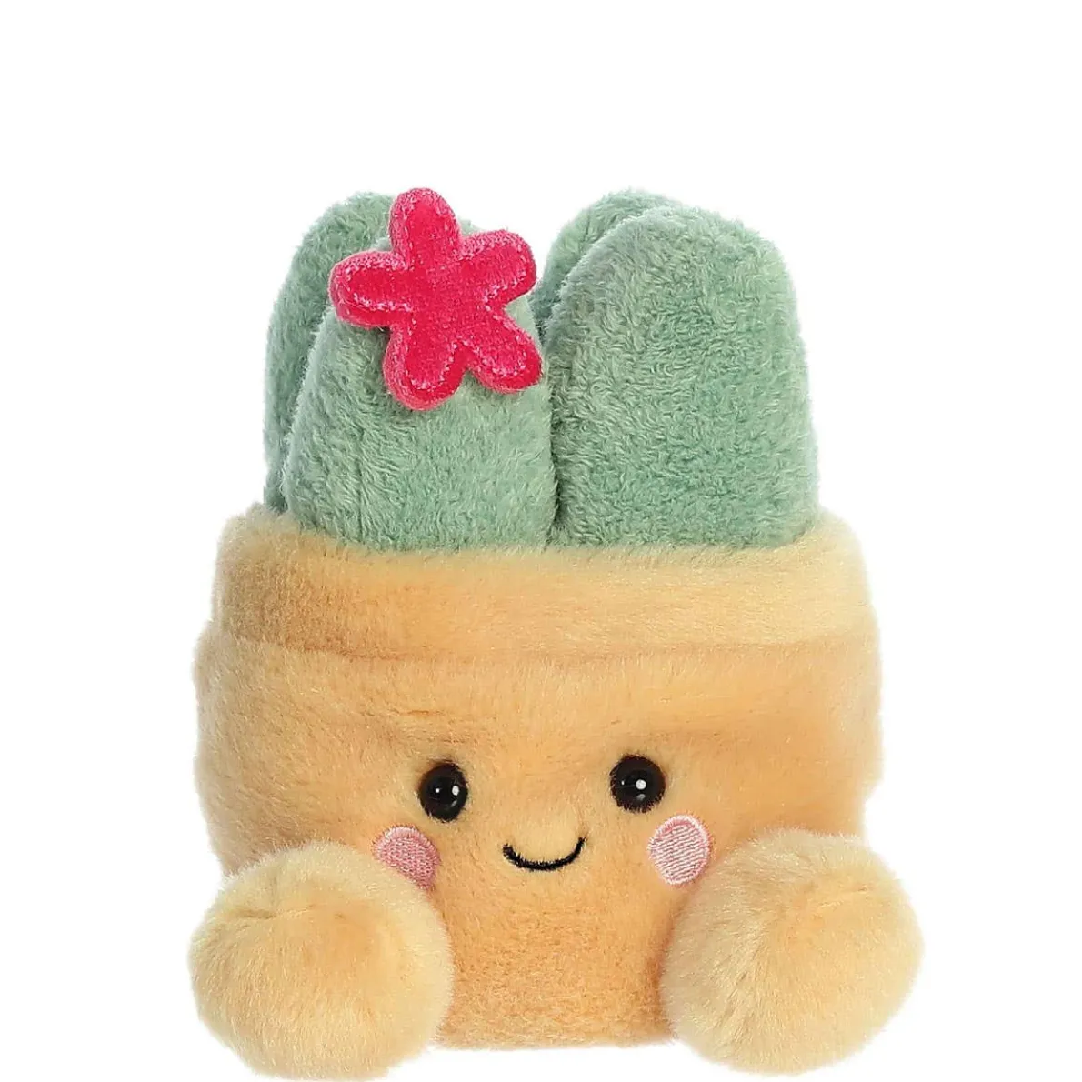 Palm Pals - Seyla Succulent