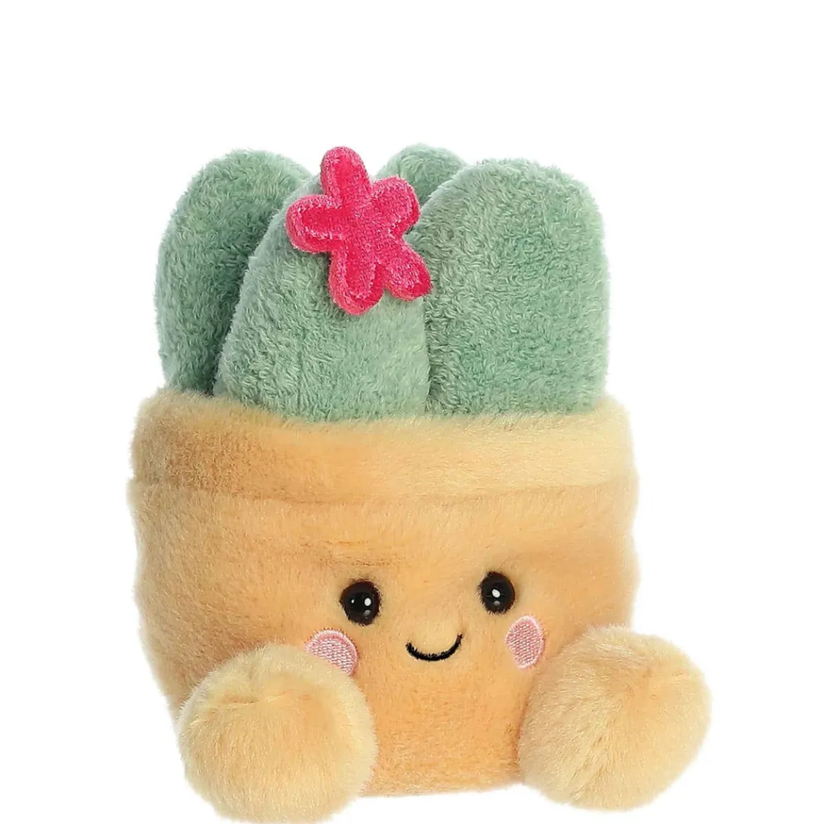 Palm Pals - Seyla Succulent