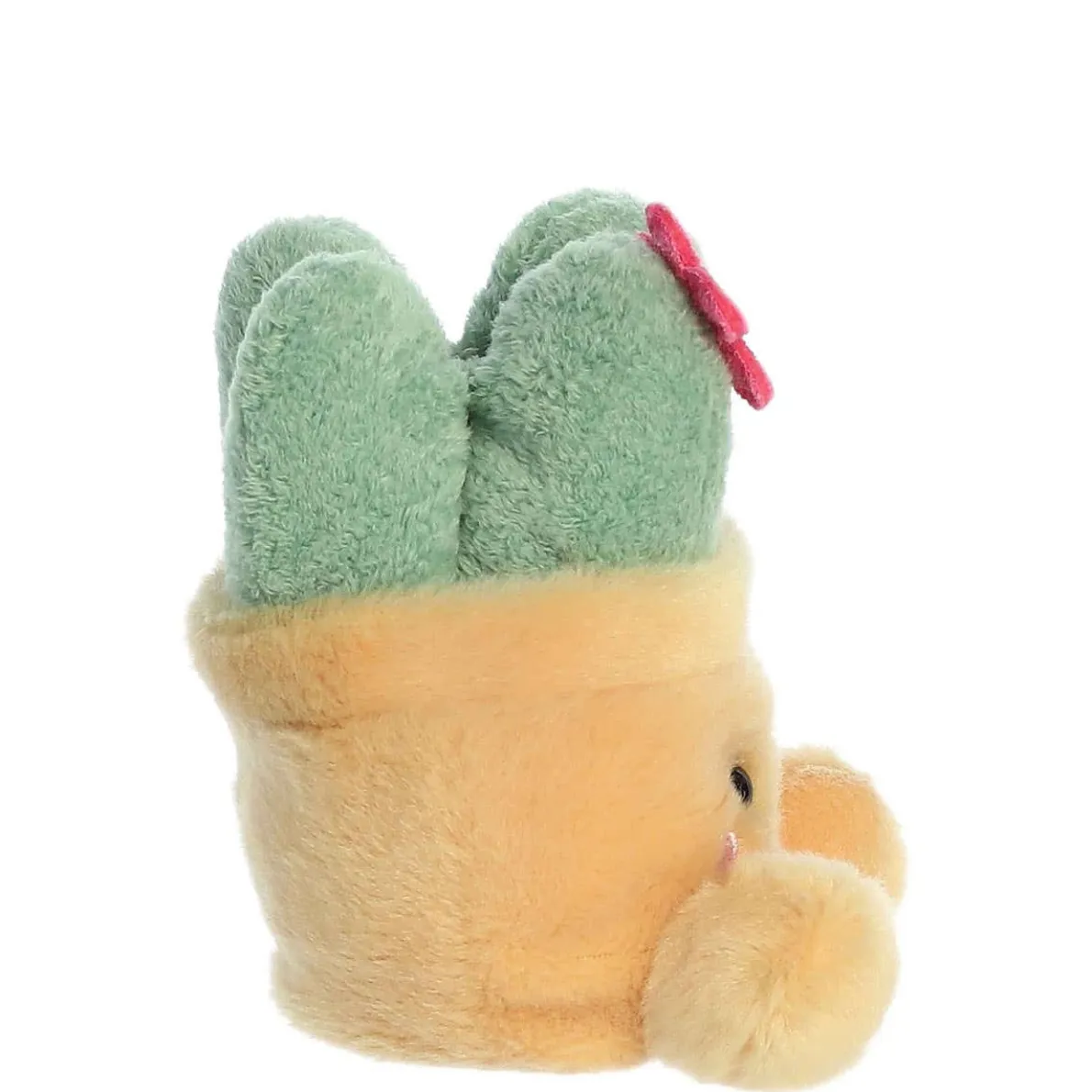 Palm Pals - Seyla Succulent