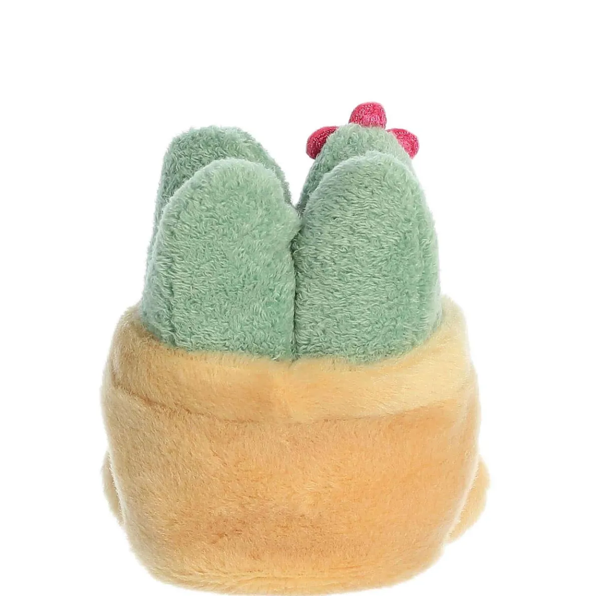 Palm Pals - Seyla Succulent