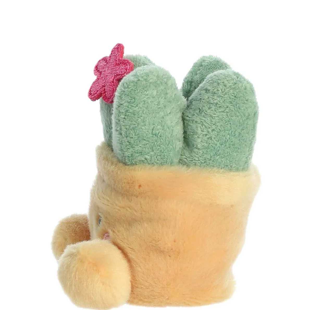 Palm Pals - Seyla Succulent