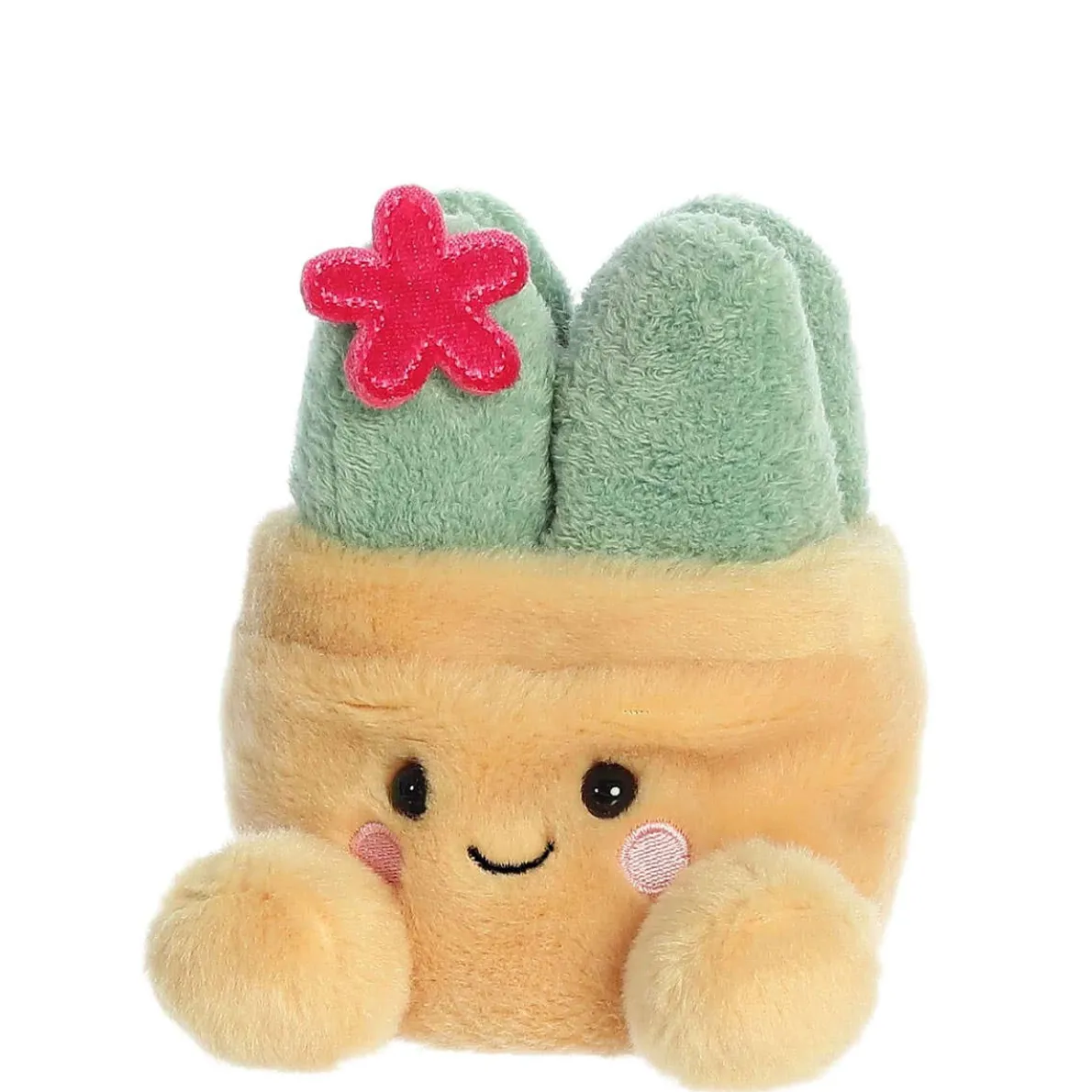 Palm Pals - Seyla Succulent