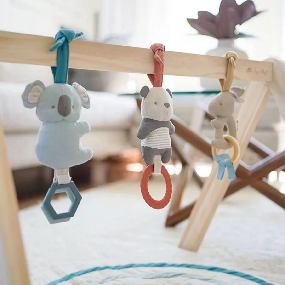 Ritzy Activity Gym with Play Mat + Toys