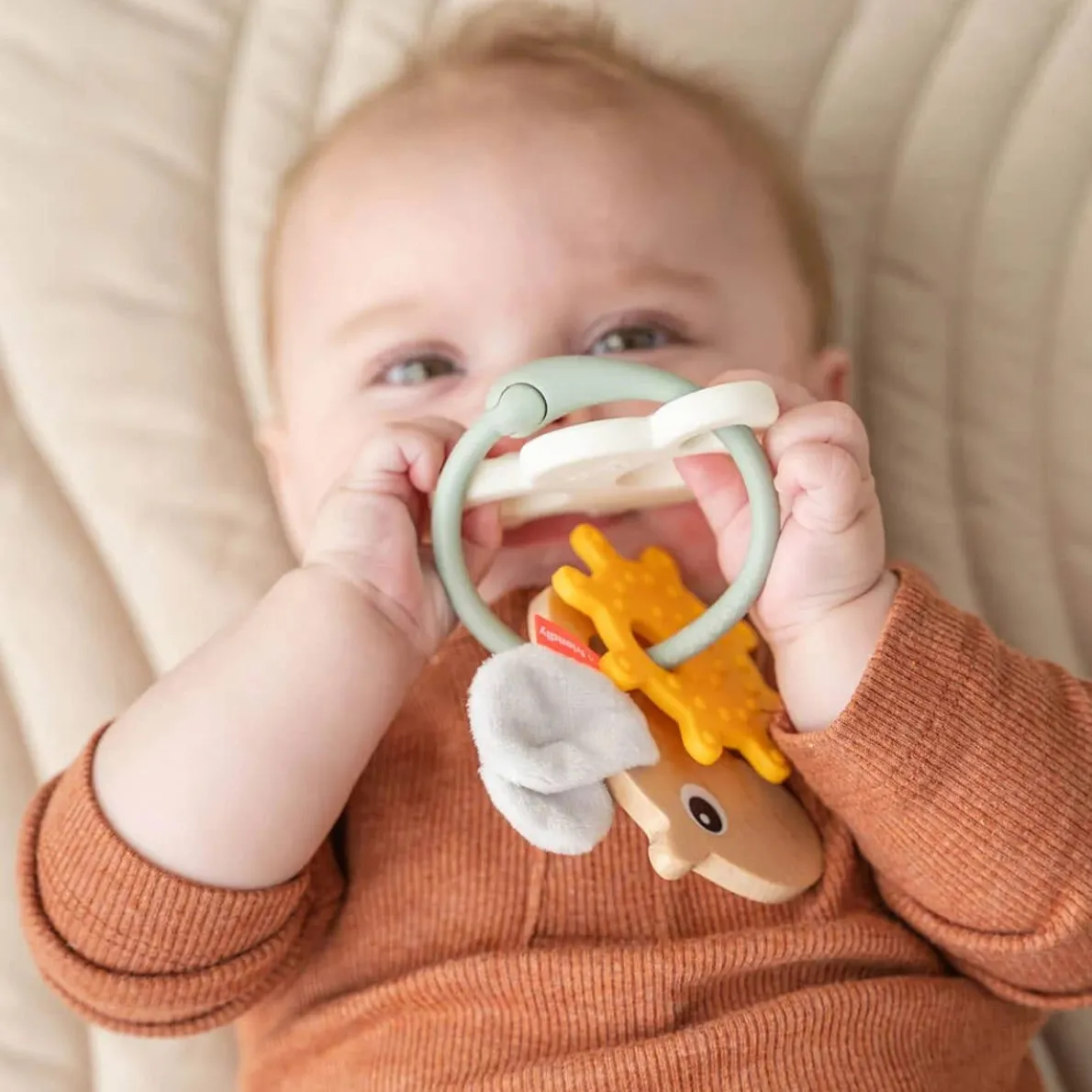 Sensory Activity Ring