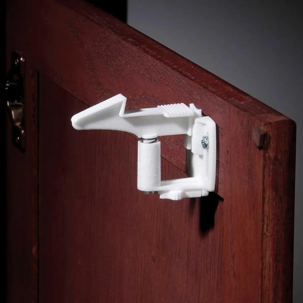 Spring Action Lock (4 Pack)