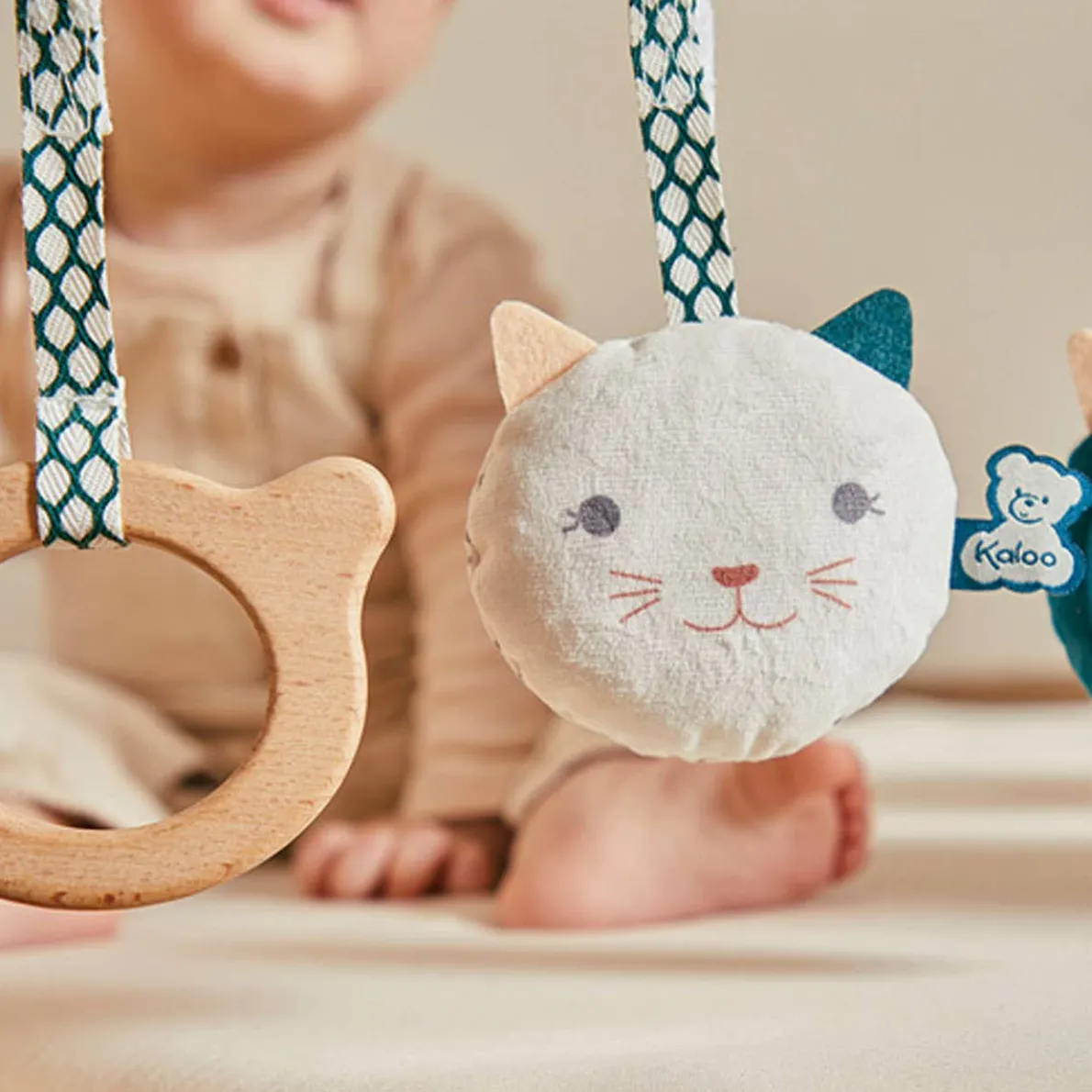 Stimuli: Set of Mobile Sensory