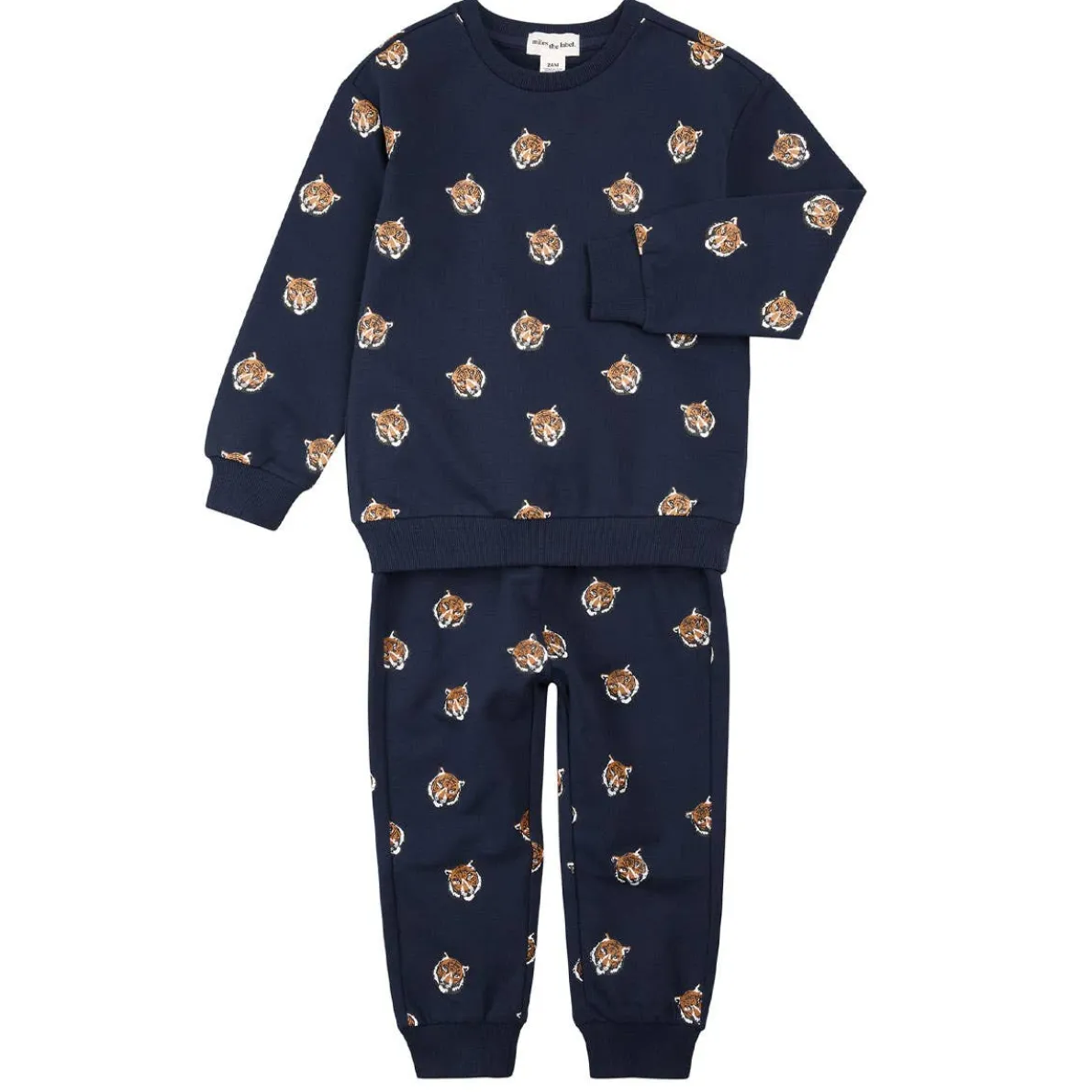 Sweatshirt + Jogger Set