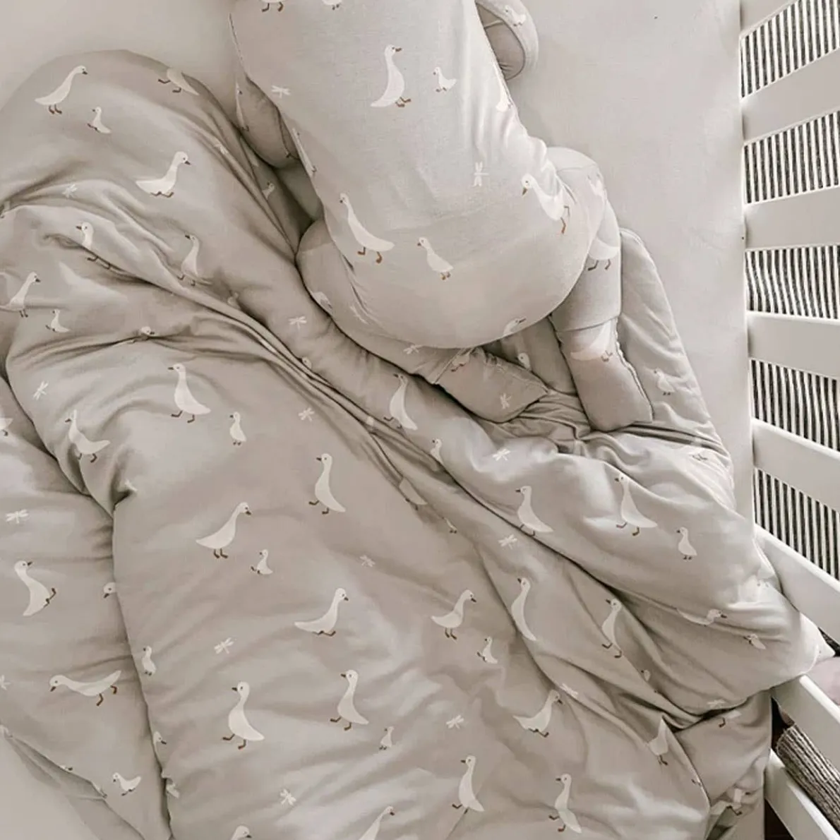 Toddler Cozy Cloud Blanket (2.5 TOG)