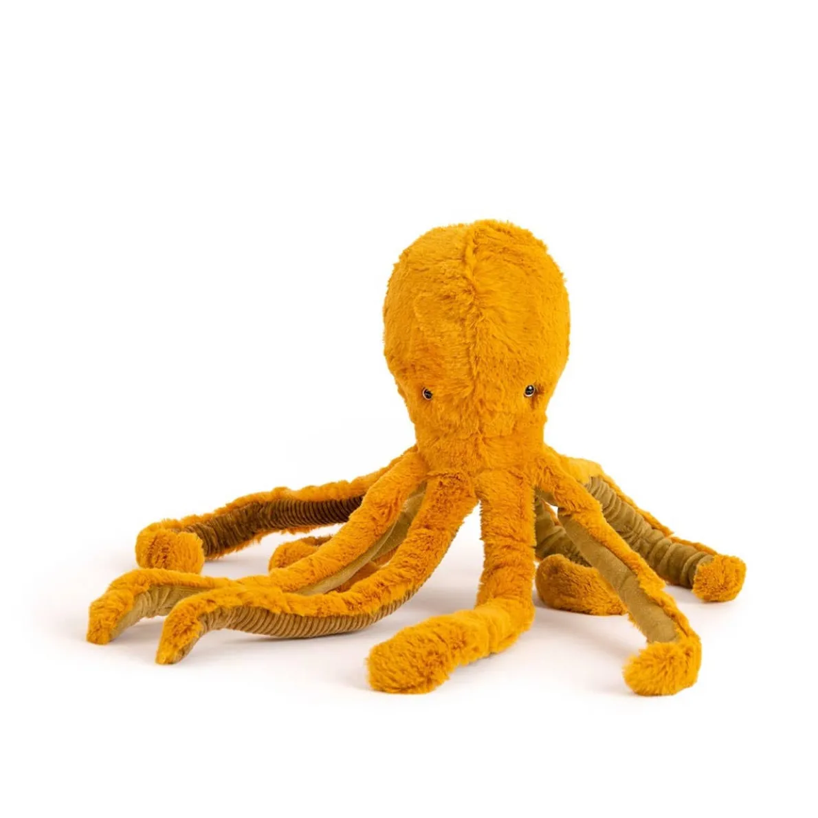 Tout Autour Du Monde - Octopus Small