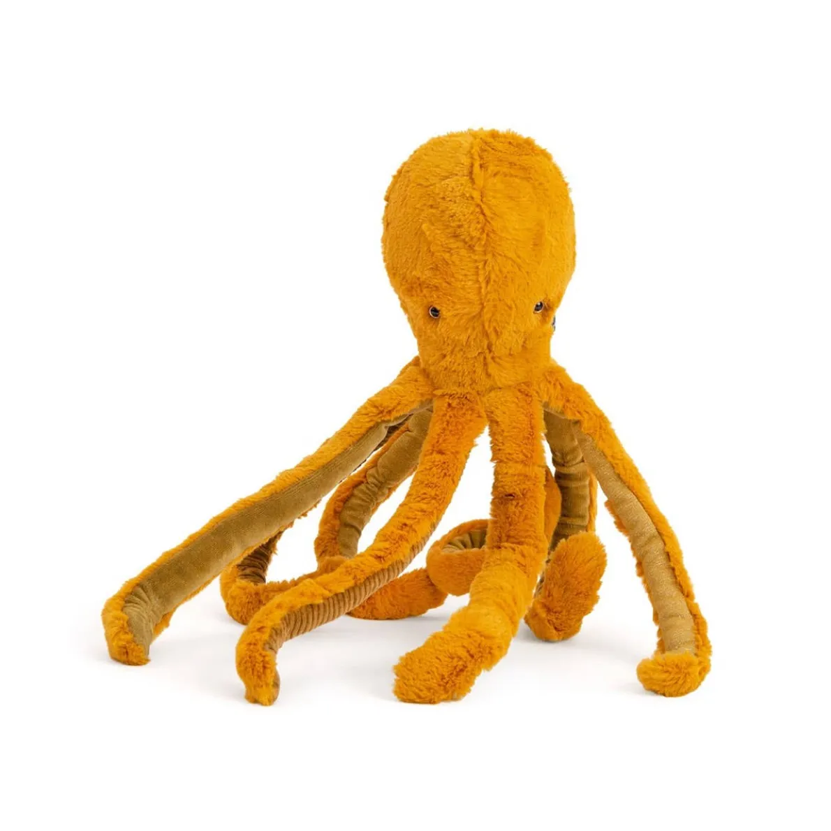 Tout Autour Du Monde - Octopus Small