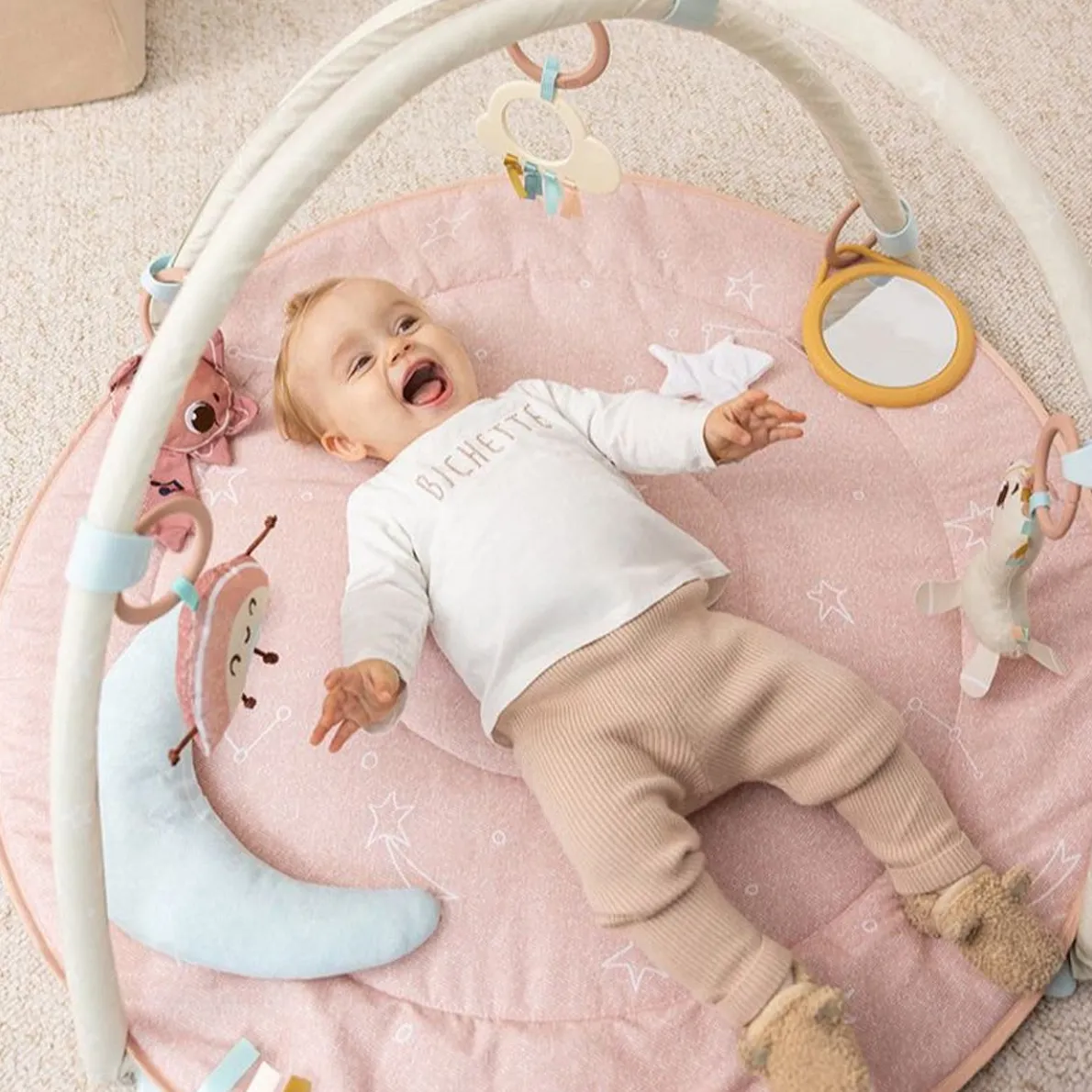 Unicorn Developmental Gymini