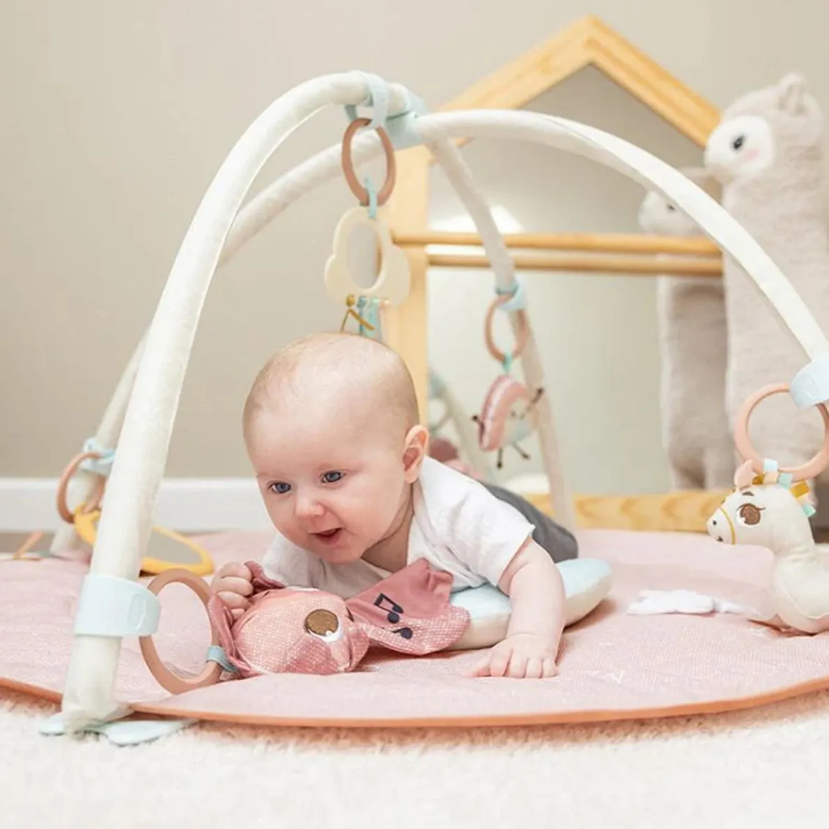 Unicorn Developmental Gymini