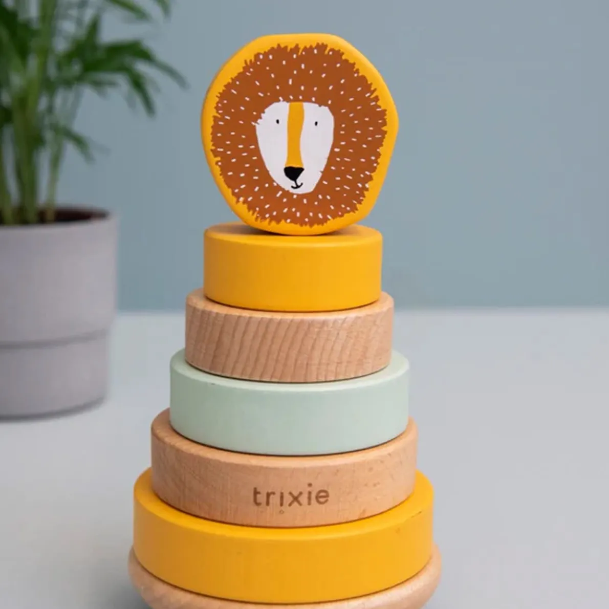 Wooden Stacking Toy